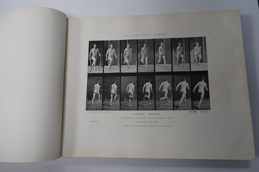 Muybridge, Eadweard - The Human Figure in Motion: an electro-photographic investigation of consecutive phases of muscular actions. frontis and approx. 250pp. of photo. illus. (with multi images per page); publisher's gil